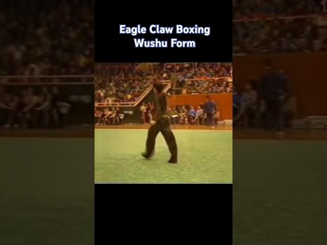 Eagle Claw Boxing. Contemporary WuShu #kungfu #martialarts #neuquen #wushu