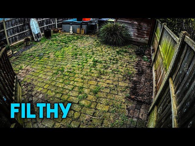 We Pressure Wash this EXTREMELY WEEDY Patio in Real Time *ASMR*