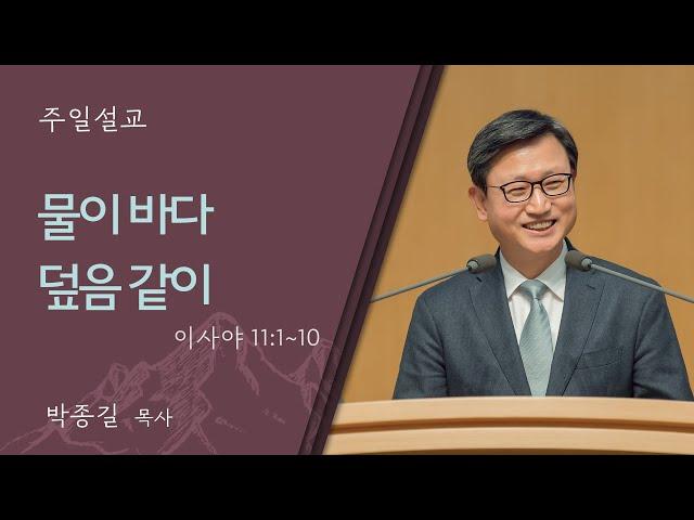 [박종길 목사] 오직 주 예수의 이름을 위해(사도행전 21:1-26)│2024.09.15(일)