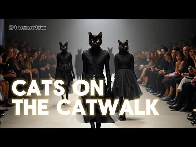 Cats on the Catwalk (Meow, meow, strut the catwalk)