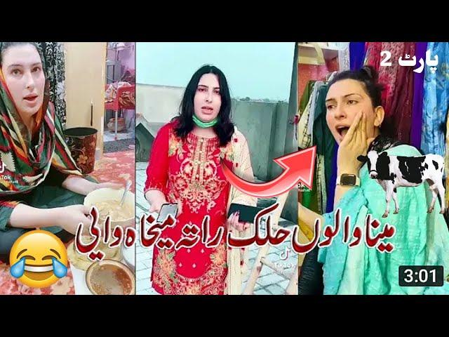 Gul Chahat Funny TikTok | Sajida | Viral Tiktok 2022 