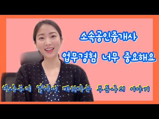 소속공인중개사 업무경험+꿀팁 풀어드립니다!
