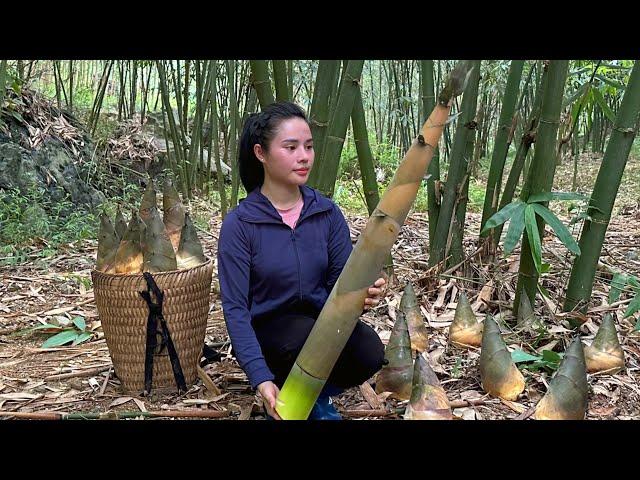 Harvest giant bamboo shoots and bring them to the market to sell and preserve dried bamboo shoots