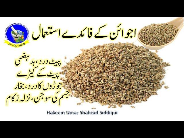 Ajwain ke fayde || Ajwain || Ajwain khane ke fayde || Ajwain benefits اجوائن کے فائدے