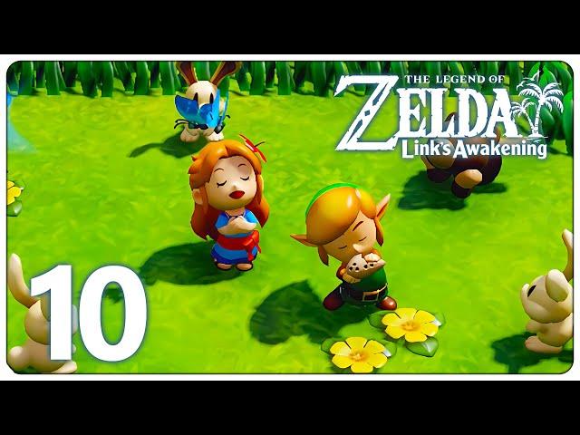 Okarina & der Bogen | Zelda Link's Awakening Switch 10