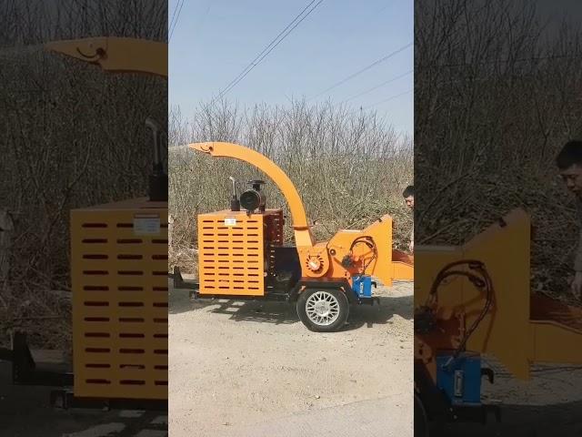 Best selling small mobile tree branch shredder household wood chipper machine diesel power