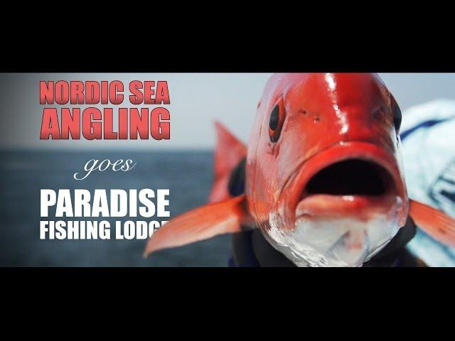 Nordic Sea Angling goes Paradise Fishing Lodge @ Panama