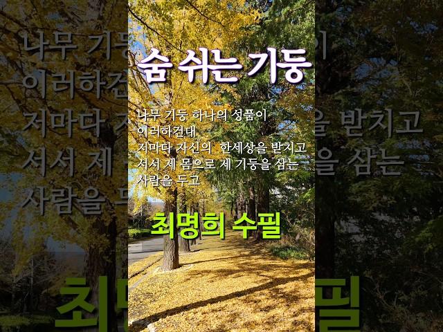 [혼불] 의 작가 최명희 수필 ㅣ 숨 쉬는 기둥 #책읽는라디오s