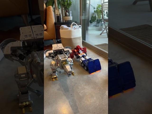 Transformer Toys in action!