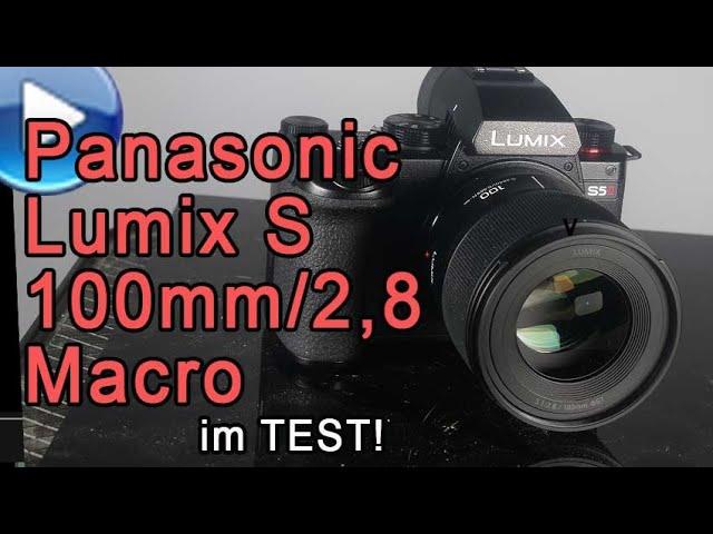 Das brandneue Panasonic Lumix S 100mm f2,8 Macro im großen Traumflieger-Test!