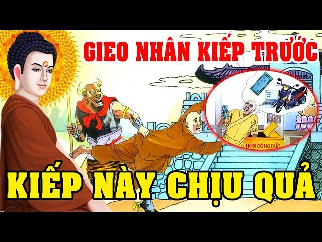 Nhân Quả Luân Hồi, GIEO NHÂN KIẾP TRƯỚC KIẾP NÀY CHỊU QUẢ Luật Nhân Quả Không Bỏ Sót 1 Ai