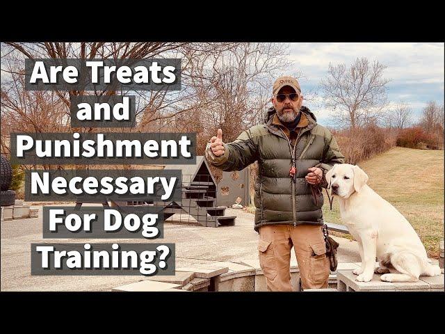 Are Treats and Punishment Necessary For Dog Training?