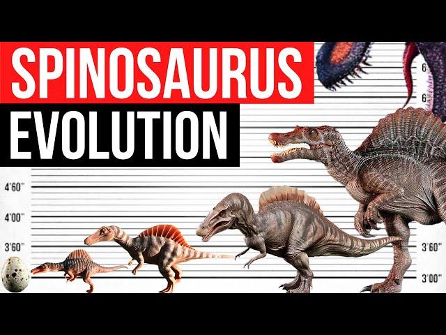 Evolution Of Spinosaurus | Life Cycle