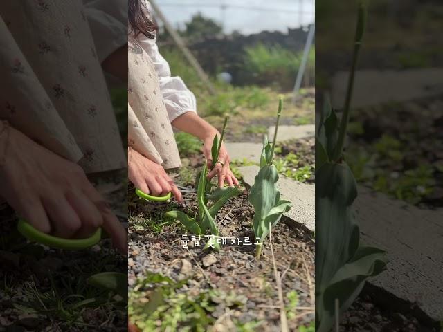 #제주감성숙소 #제주독채펜션 #제주펜션 #월랑소운