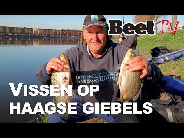 Tips: vissen op giebels in Den Haag  |  Beet