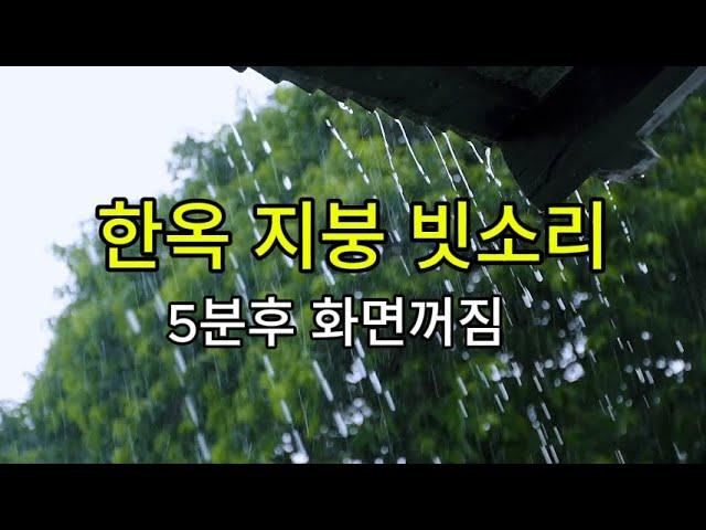 편안한 숙면을 위한 시골 지붕 빗소리/ ASMR 3시간/ 5분후 화면꺼짐