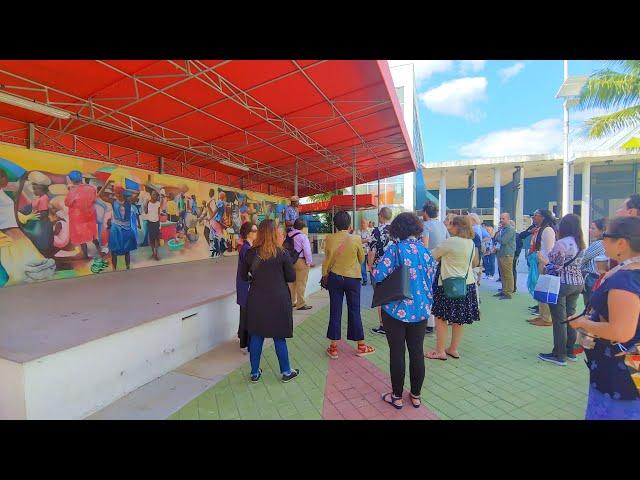 La Perle De Miami Little Haiti Tour Introduction