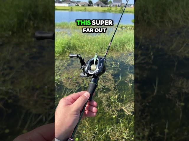 Testing Super Ultralight BFS Rod #bfsfishing