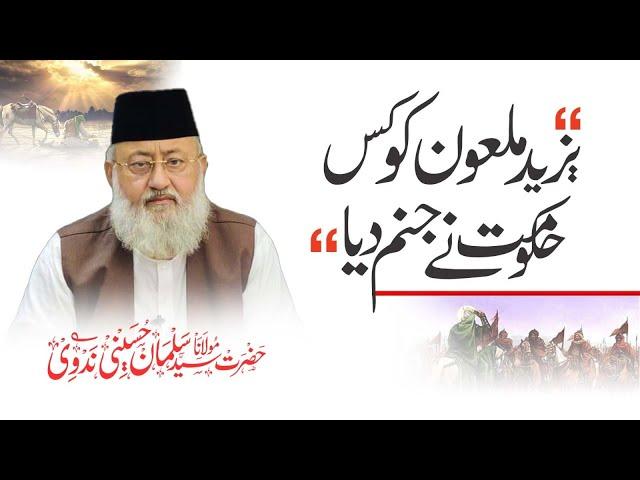 Yazeed Maloon Ko Kis Hukumat Ne Janam Diya | Hyderabad | Maulana Salman Husaini Nadwi