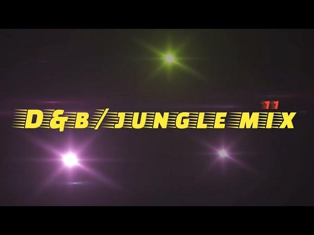 Traponic - D&B/Jungle Mix 11