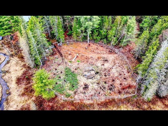 What is a Food Forest?