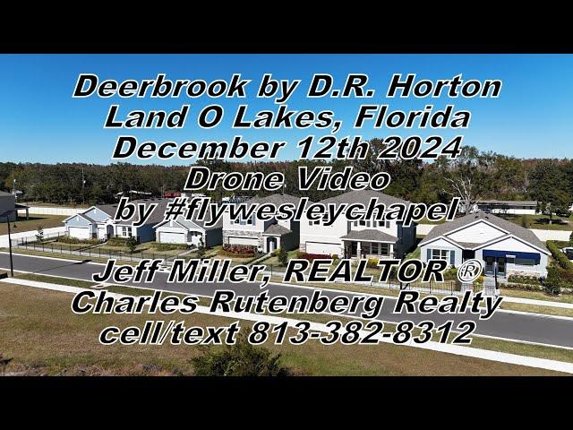 Deerbrook by D.R. Horton Land O Lakes, Florida December 12th 2024 Drone Video by #flywesleychapel