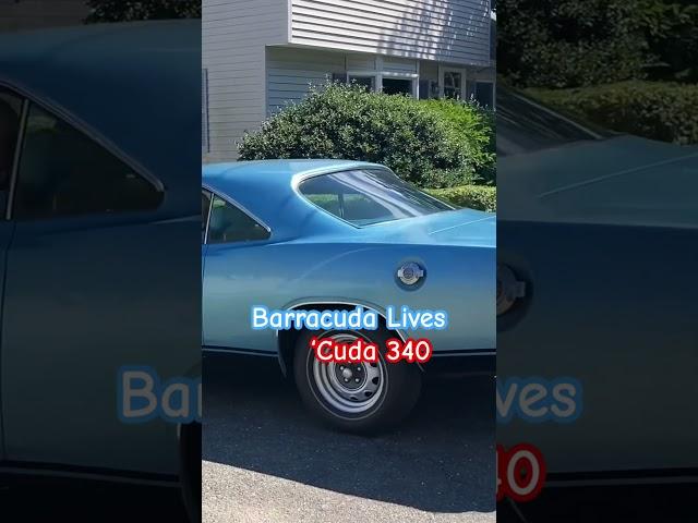 Barracuda Lives ‘Cuda 340  #car #plymouth #racecar #340 #barracuda #mopar #musclecar