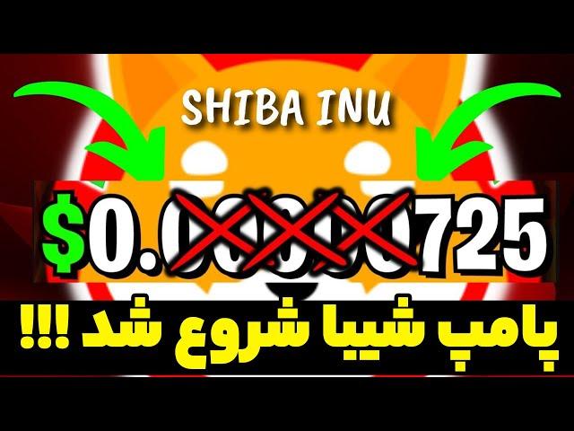 تحلیل فوری شیبا پامپ خودش رو شروع کرد تا کجا قراره رشد کنیم !! بخریم ؟