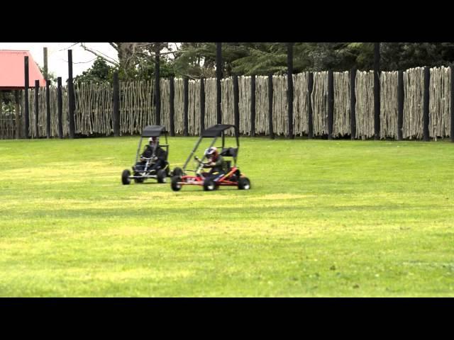 CAGED DRIFT GO KART -  200CC