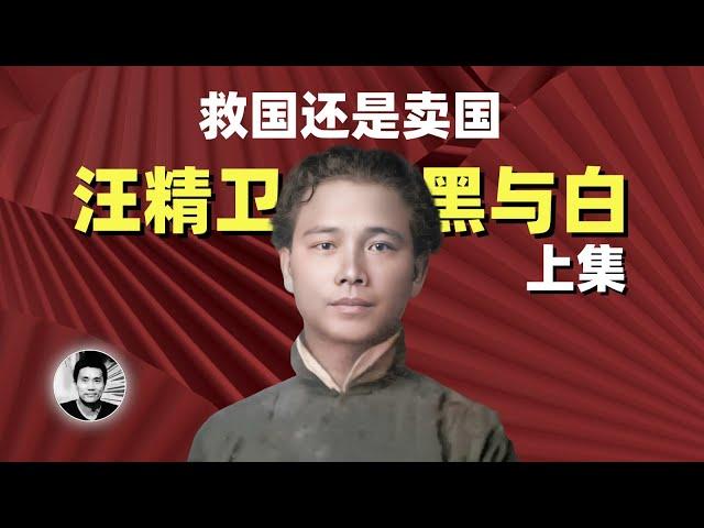 救国还是卖国：汪精卫的黑与白（上集）