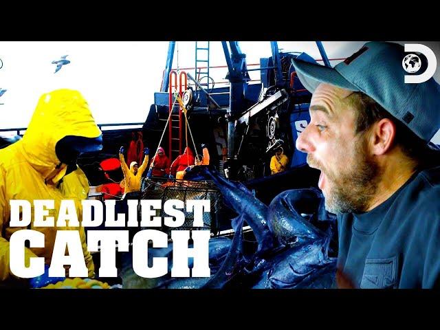 The Saga's New Haul: Black Cod? | Deadliest Catch