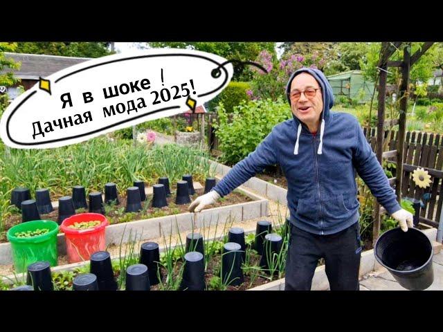 «Зелёный борщец и томаты в шапках: майские сюрпризы!»