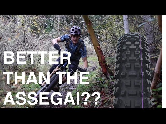 Do Schwalbe's Albert Tires Live Up to the Hype? - Schwalbe Albert Review | Eric’s Test Kitchen ep.1