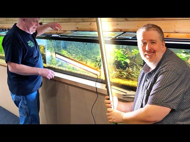 Unbreakable LED Aquarium Light Test: Can We Break It?