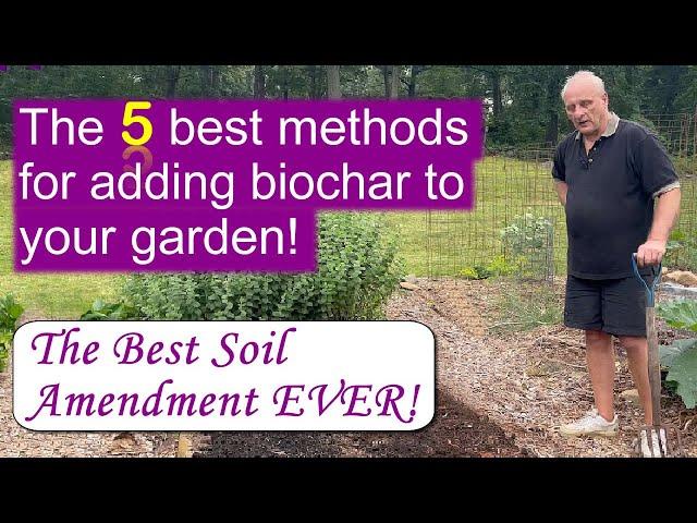 5 ways to incorporate biochar into your garden soil!