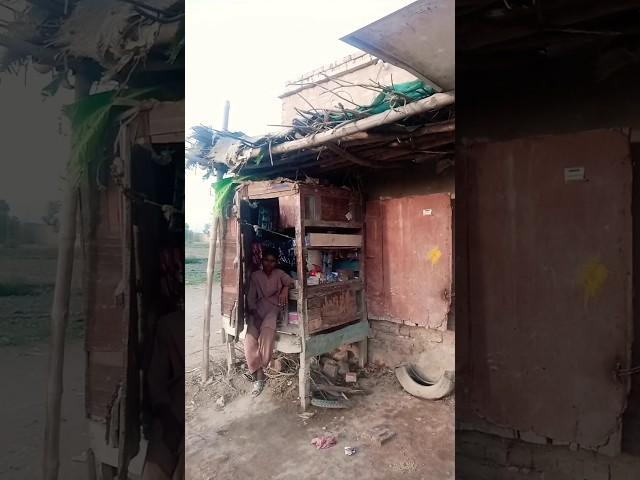 rural village life Sindh#dehati jindagi Sindh Pakistan#short# budho siyal vlog