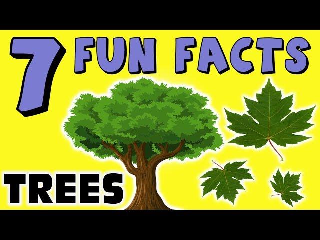 7 FUN FACTS ABOUT TREES! FACTS FOR KIDS! Leaves! Redwoods! Fall! Learning Colors! Funny Sock Puppet!