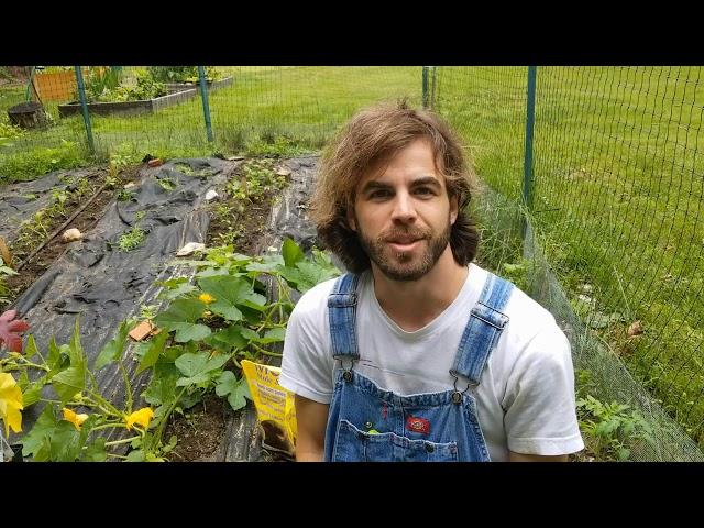 How to Remove Voles From Your Garden