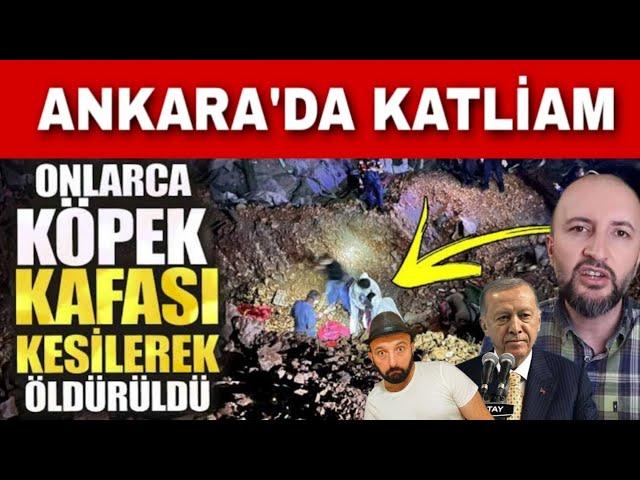 Ekrem İmamoğlu, Altındağ Köpek, cevheri Güven, Erdoğan, Galatasaray, Fakir fukara bugün