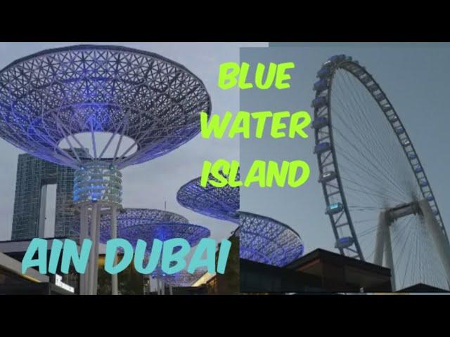 Blue water island in Tamil/Blue water Island/Ain Dubai/ Ferris wheel/Meraas island