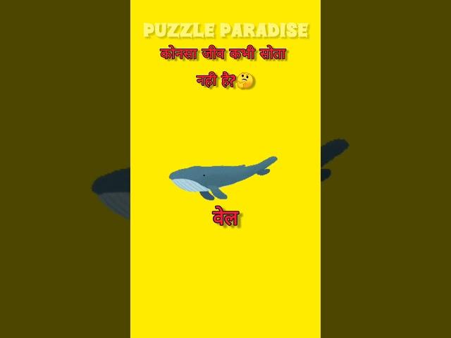 कौन सा जानवर कभी नहीं सोता? #puzzle #quiz #puzzleparadice