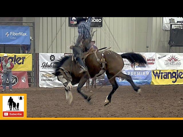 Saddle Bronc Riding - 2023 ABC Pro Rodeo | Saturday Matinee