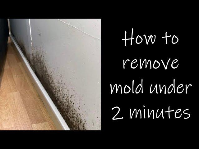 TREATING MOLD IN HOUSE! - How to get away your mold with these TWO easy steps