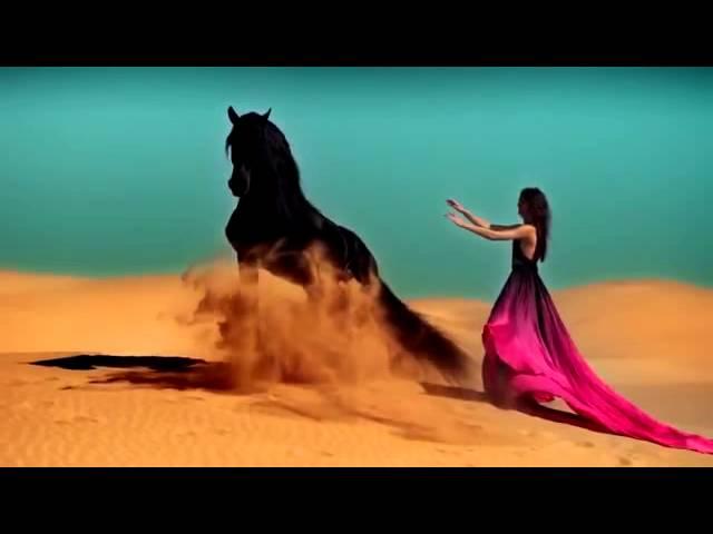 Beautiful video - девушка и лошадь