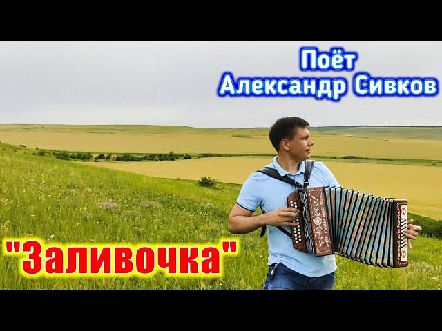 "Заливочка", (частушки под гармонь). Поёт Александр Сивков. Хорошая песня на бескрайних просторах.