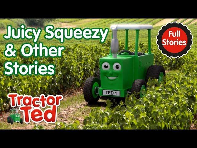 Juicy Squeezy & Other Tractor Ted Stories  | Tractor Ted Full Episodes Compilation