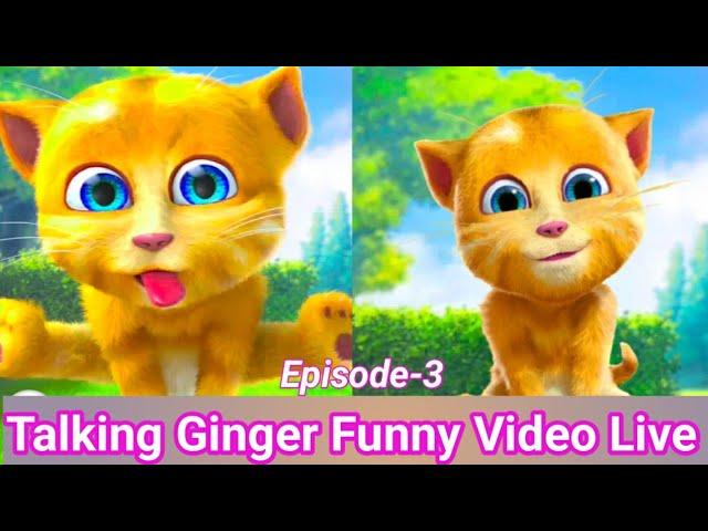 Talking Ginger Funny Videos Live  ( Episode 3 )