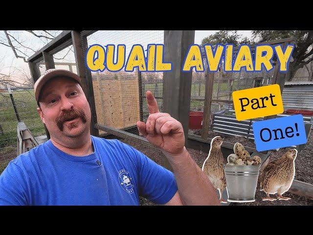 Building My Daughter a Quail Aviary | Part 1