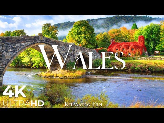 Wales (UK) • Relaxation Film - Peaceful Relaxing Music - Nature 4k Video UltraHD