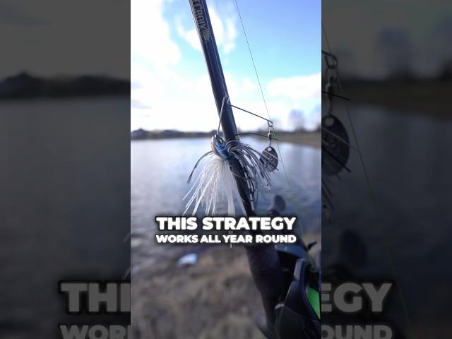 Catch WAY More Bass This Spring with This Trick! #fishing